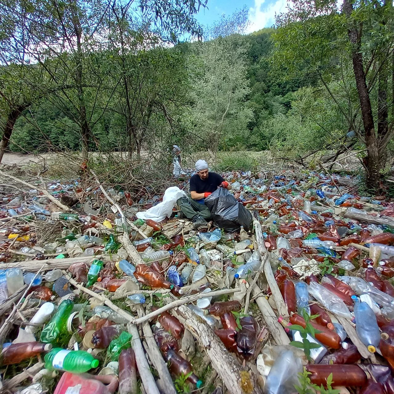 Толока на Вільшанському водосховищі