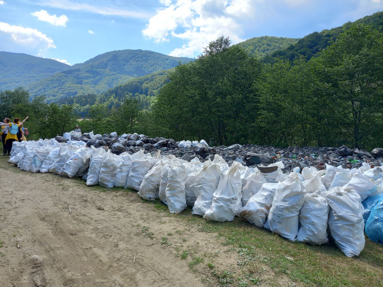 Толока на Вільшанському водосховищі