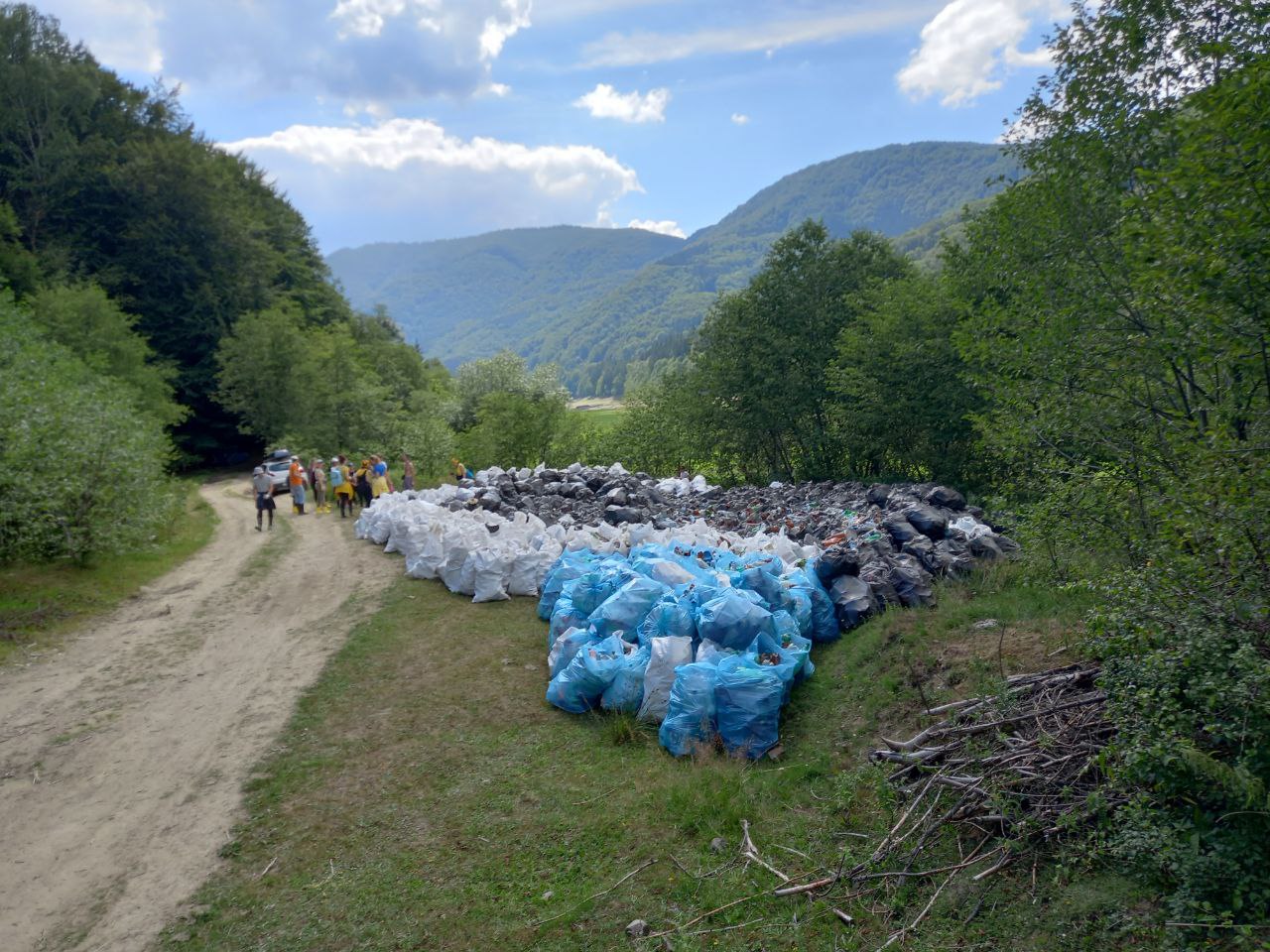 Толока на Вільшанському водосховищі