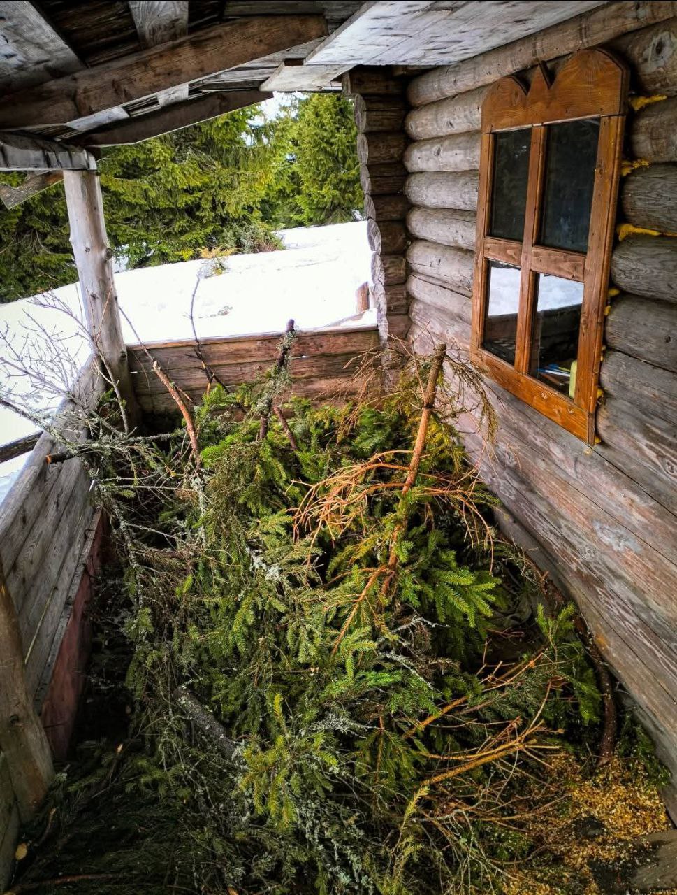 Планові добрі справи на перемичці Петрос-Говерла