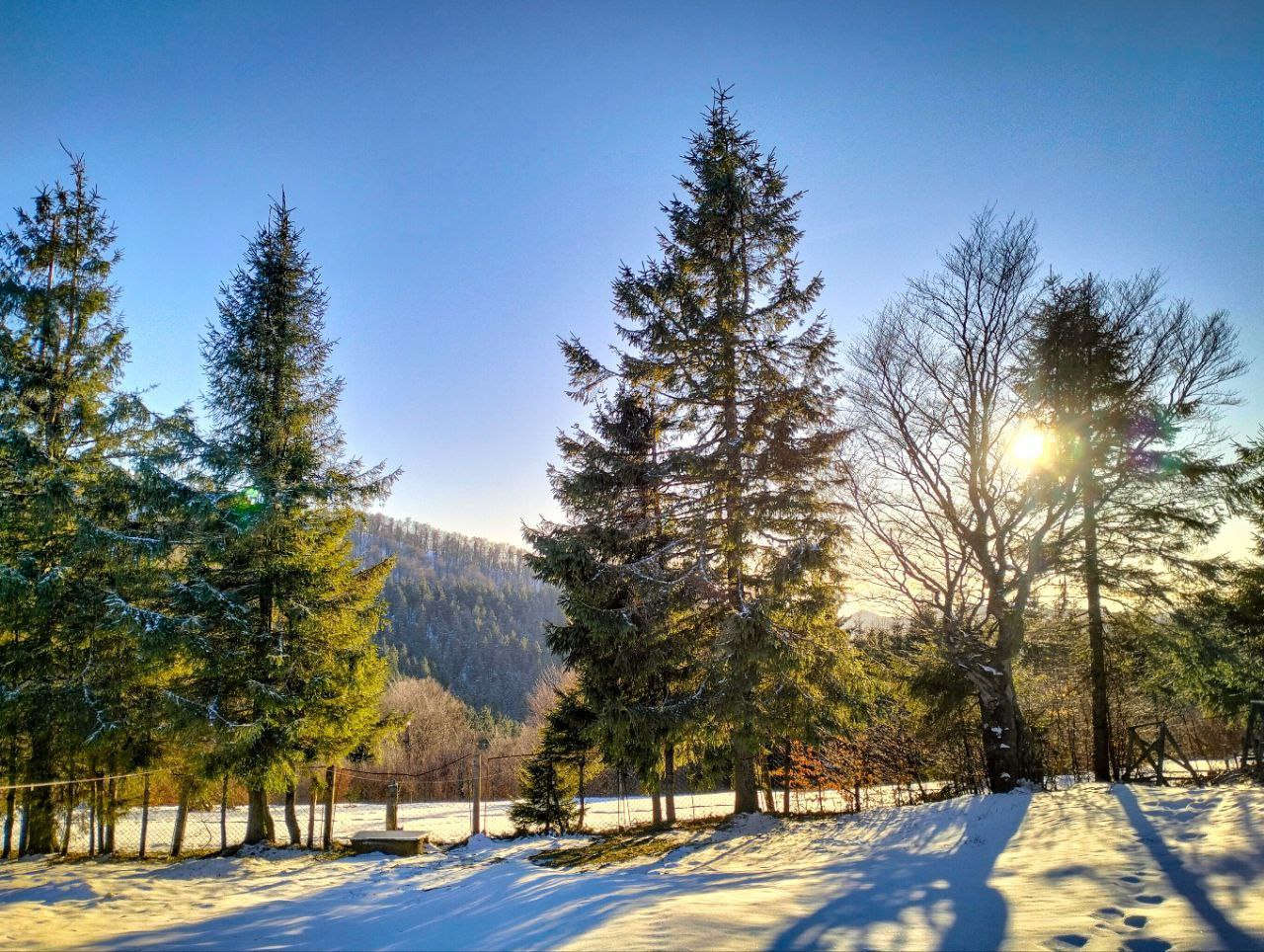 реабілітаційний заїзд в Карпатах