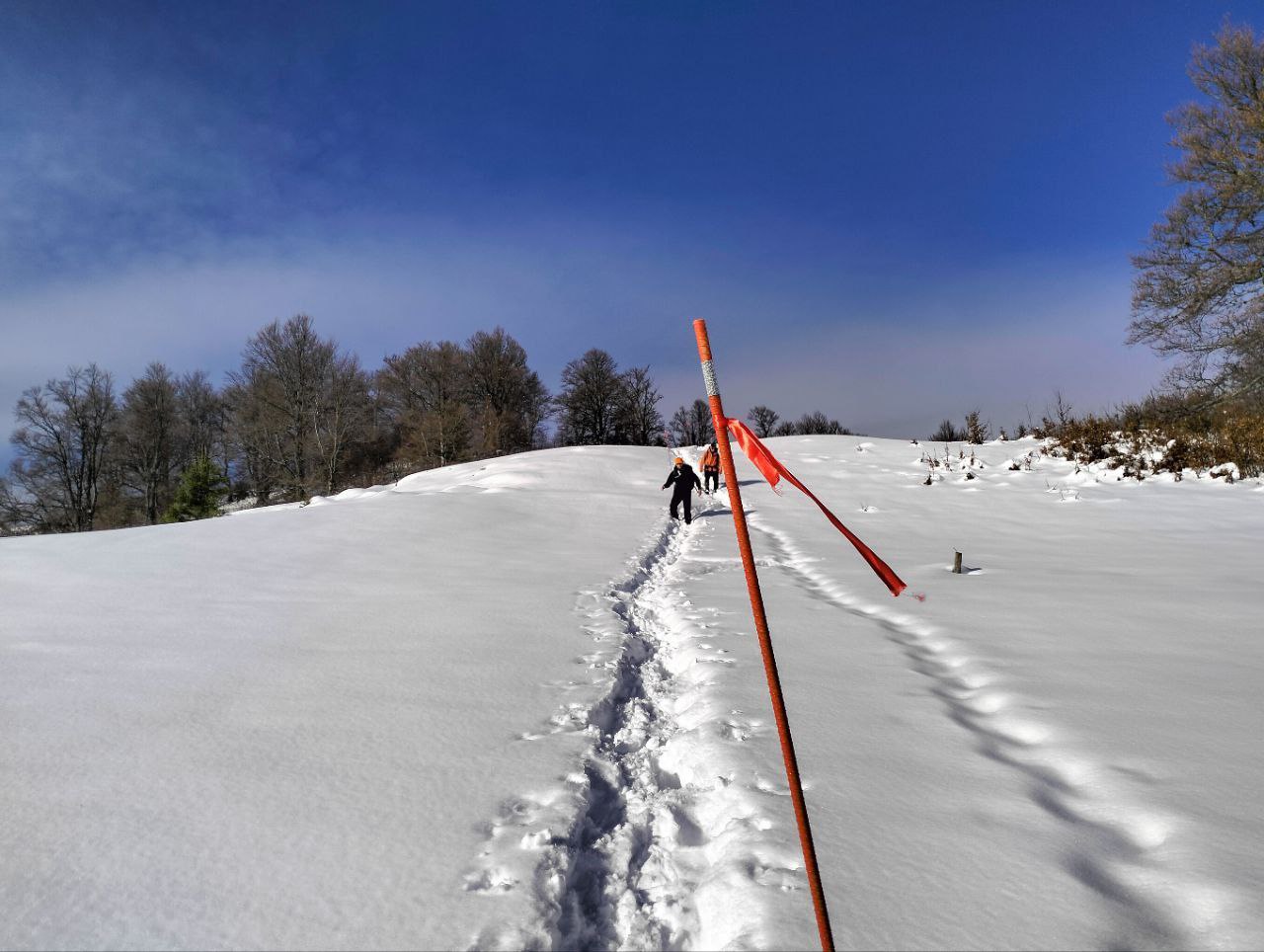Формат зимового маркування в Карпатах