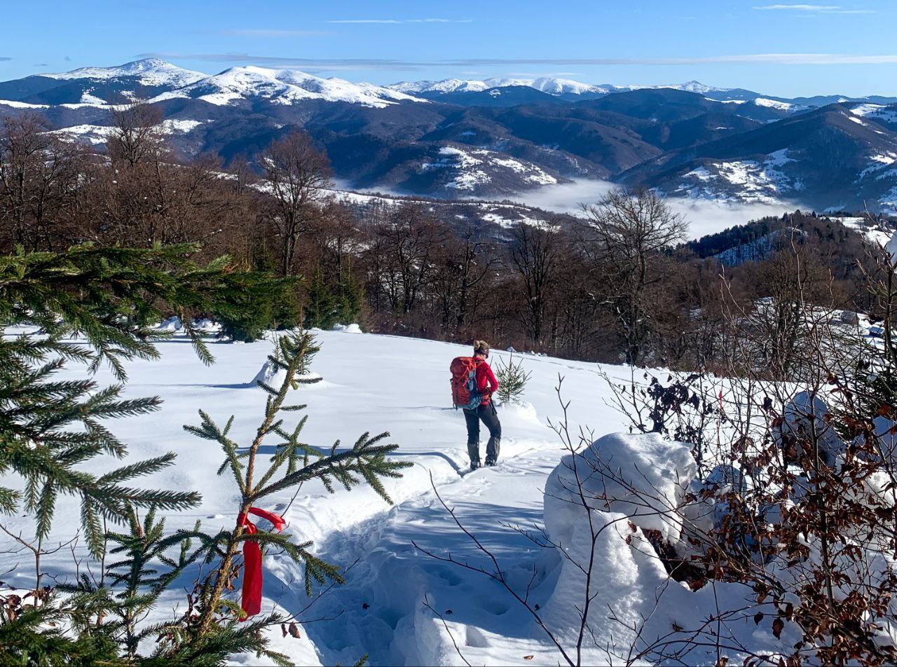Формат зимового маркування в Карпатах