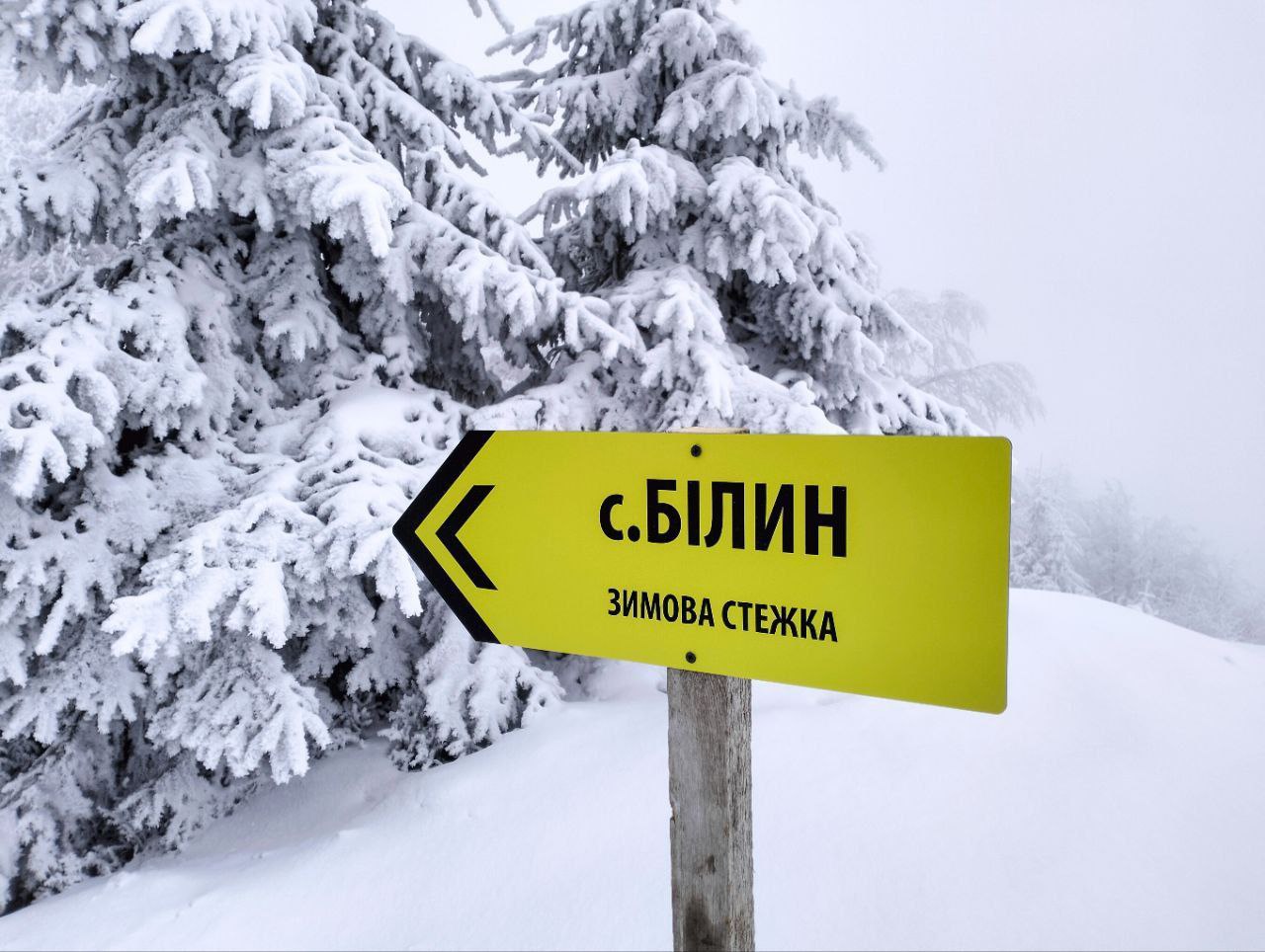 Формат зимового маркування в Карпатах