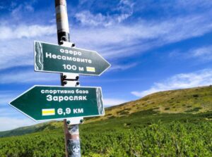 Вказівник Несамовите