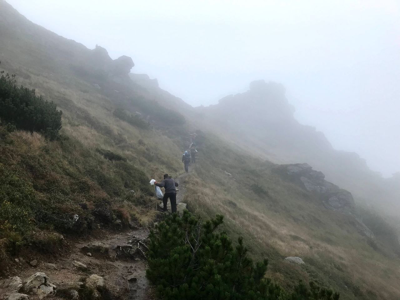 
Еко-табір під Вухатим Каменем