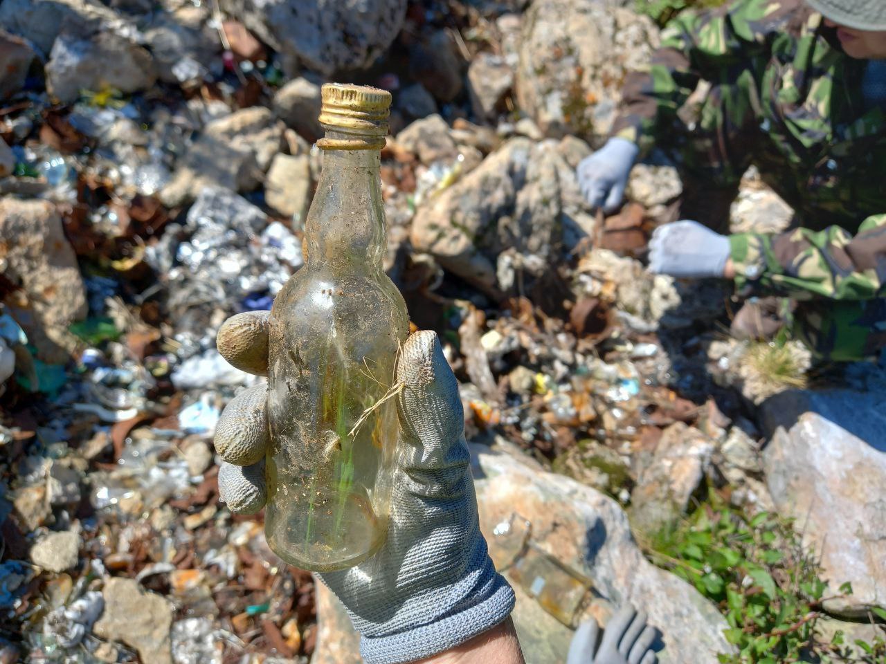 Прибирання на озері Несамовите