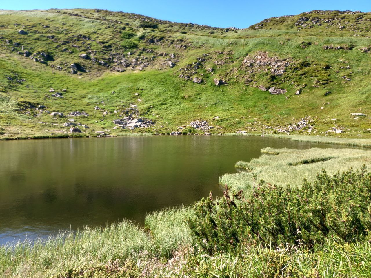 Прибирання на озері Несамовите