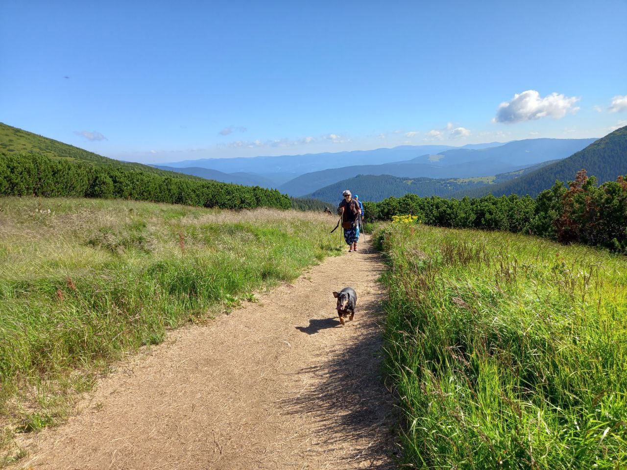 Прибирання на озері Несамовите
