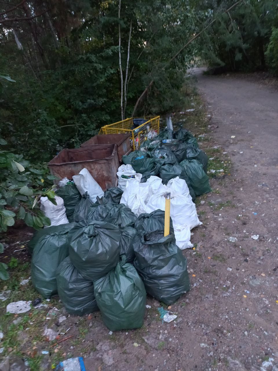 Скелелазний еко-табір в Коростишеві