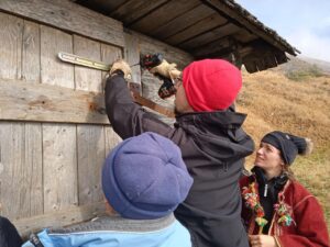 Толока на Говерлі
