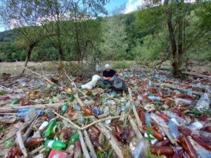 Толока на Вільшанському водосховищі