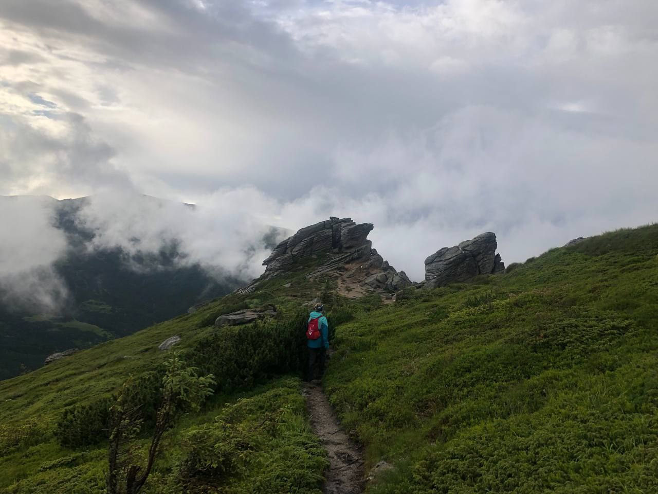 таблички на місці прибраних сміттєзвалищ