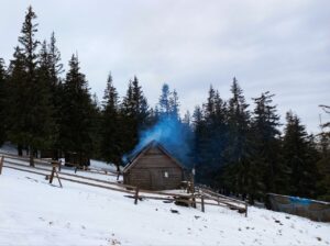 Зимова толока на полонині Хом'яків