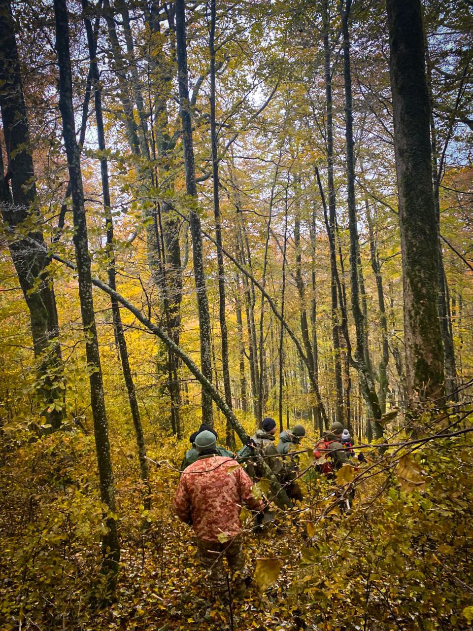 Група людей йде стежкою через осінній ліс, жовте листя вкриває землю.