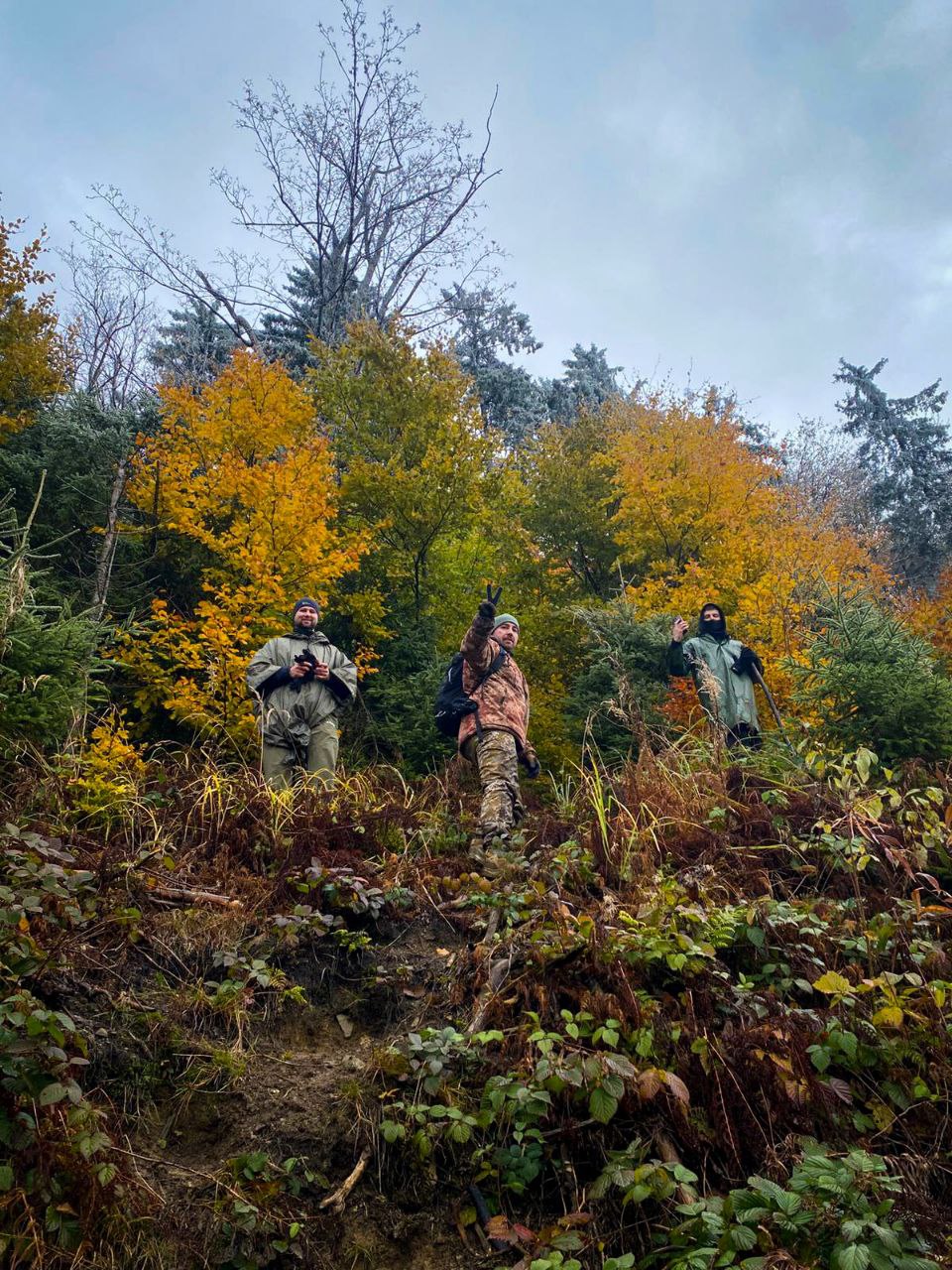 Троє людей стоять на схилі серед ялин і жовтого листя, один з них показує жест перемоги.