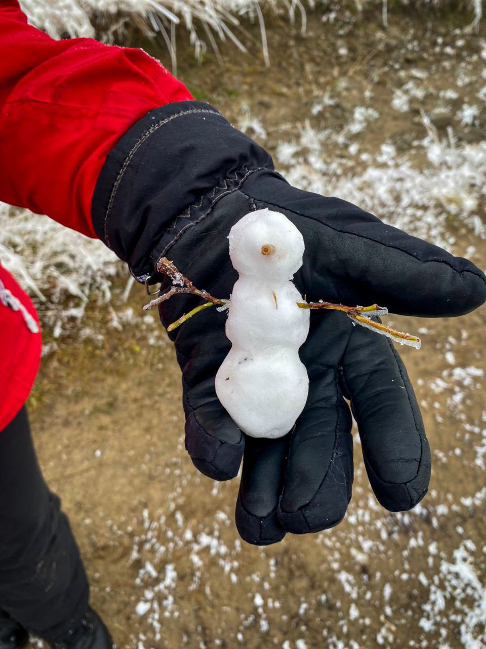 На долоні в рукавичці маленький сніговик, зроблений зі снігу під час прогулянки.