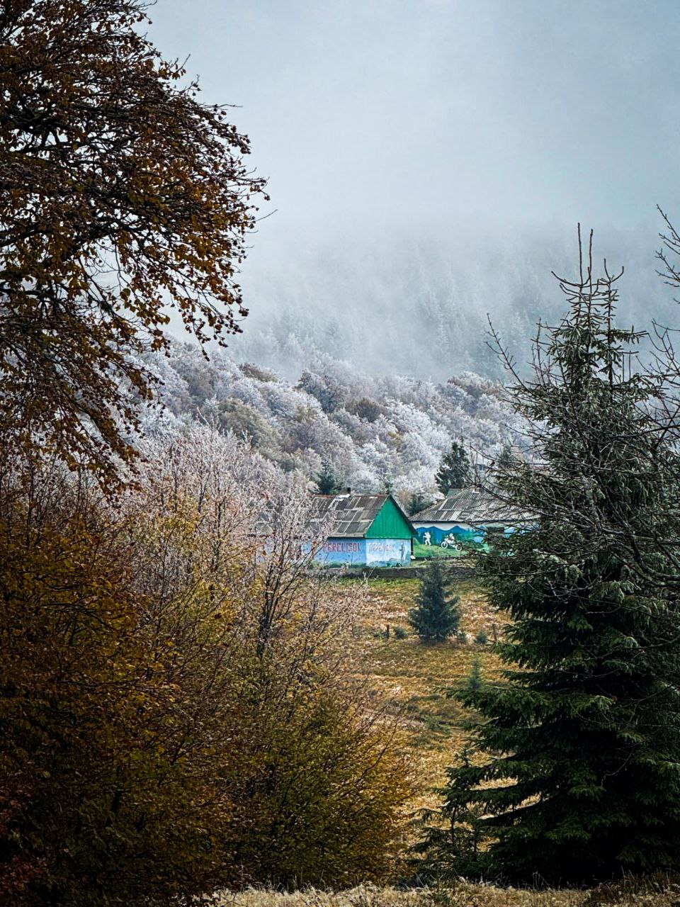 Гірський притулок серед осіннього та засніженого пейзажу, навколо дерева, в тумані видно хребет.
