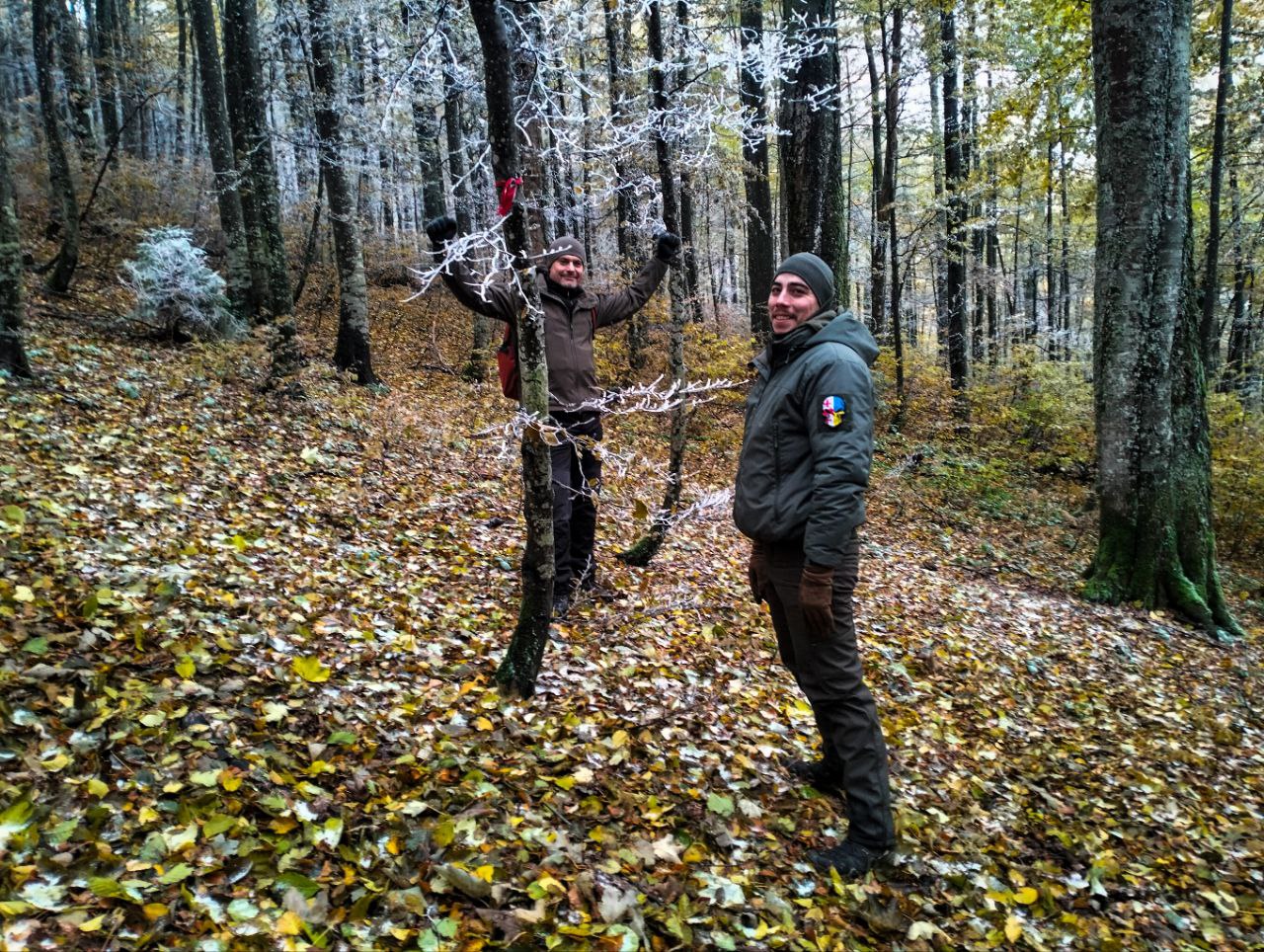 Двоє людей в лісі, на гілках дерев видно іній; один торкається засніженої гілки.