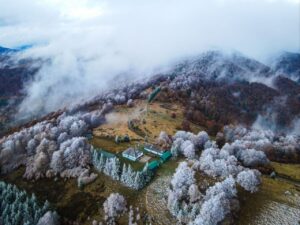 Притулок перелісок