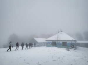 Притулок Перелісок, жовтень, сніг