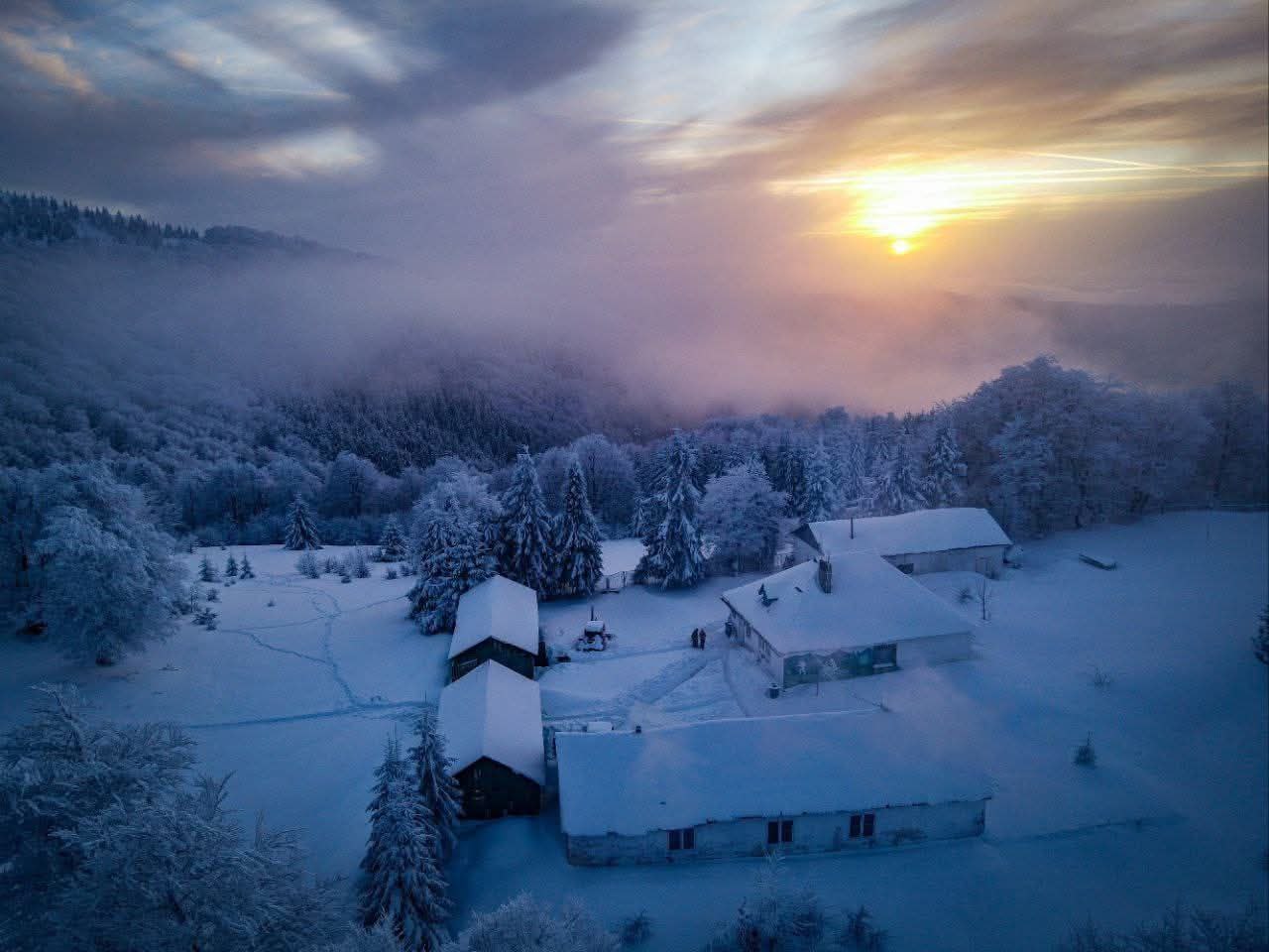 Притулок Перелісок
