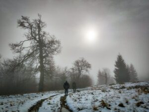 реабілітаційна мандрівка