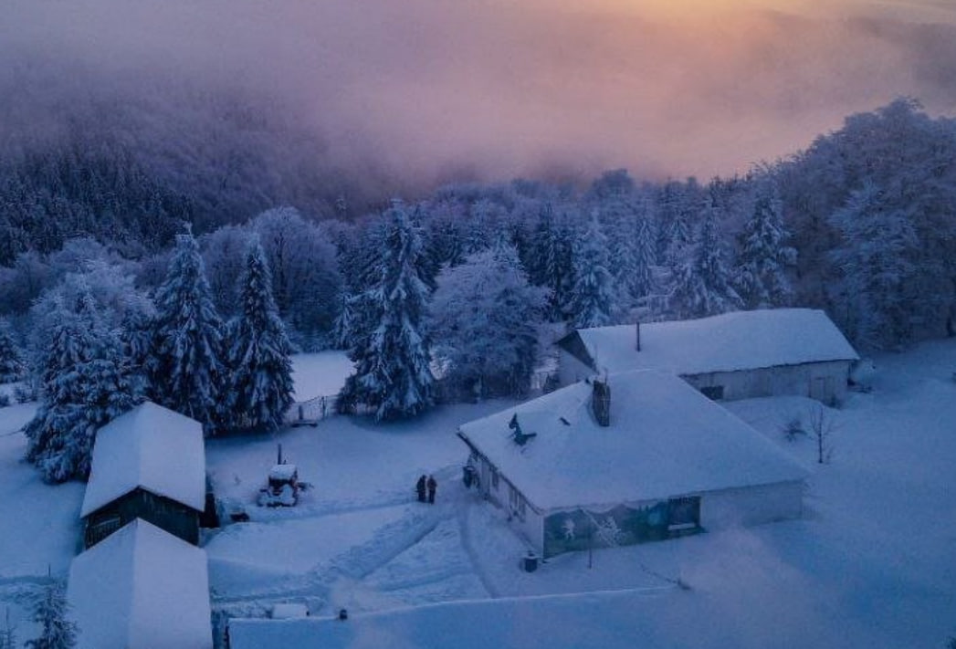 Притулок Перелісок