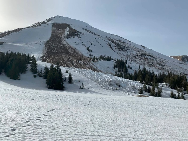 Снігові лавини: як вижити і що треба знати
