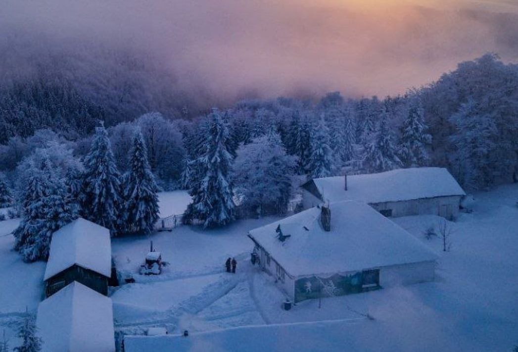 Туристичний притулок Перелісок