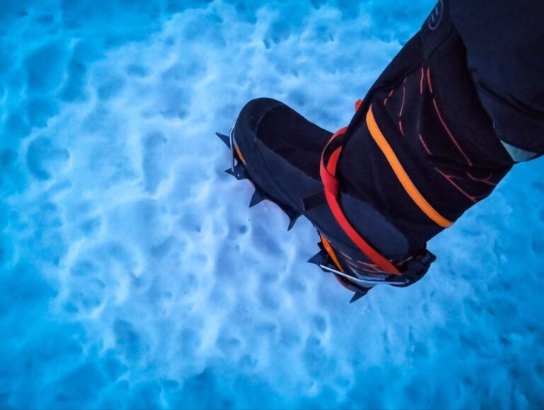 Кішка на туристичному взутті на льодяній стежці в Карпатах