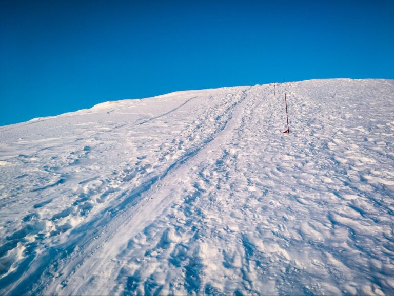 Засніжений схил Говерли з протоптаною стежкою та маркуванням