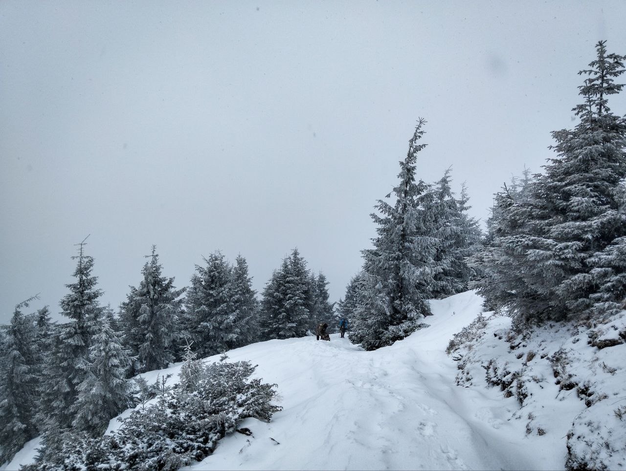 Стан маршруту