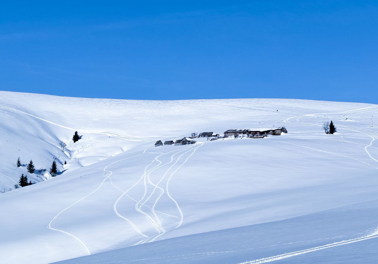 Планові роботи Rescue Team 