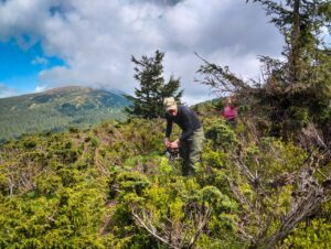 cleared-trails-petros-hoverla